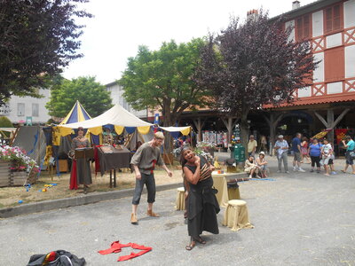 Mirepoix 2015, DSCN1296