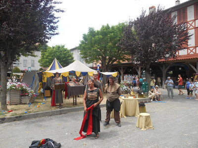 Mirepoix 2015, DSCN1297