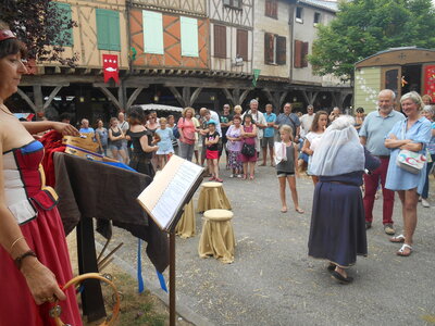 Mirepoix 2015, DSCN1299