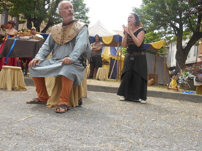 Mirepoix 2015, DSCN1320