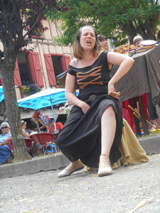Mirepoix 2015, DSCN1333