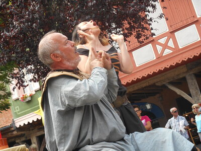 Mirepoix 2015, DSCN1344