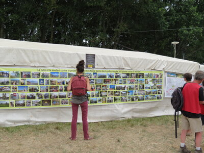 Notre Dame des Landes Juillet 2015, IMG_4261