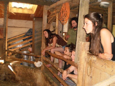 3ème weekend Oasis Provençale 5-6-7 juin 2015 à la Ferme du Pescher, PA300300