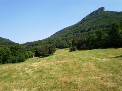 3ème weekend Oasis Provençale 5-6-7 juin 2015 à la Ferme du Pescher, PA310311