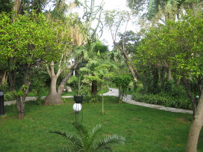 01/05/10 -  ALGER, IMG_0826