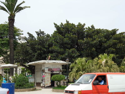 01/05/10 -  ALGER, SDC10581