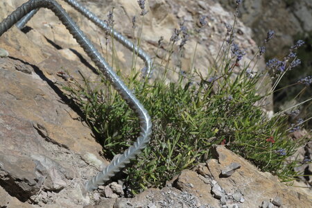 2015-07-28-via-ferrata-freissinieres, alpes-aventure-via-ferrata-freissinieres-2015-07-28-50