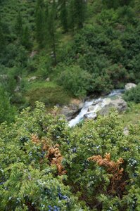 2015-07-22-23-rando-famille-refuge-bans, alpes-aventure-randonnee-trek-refuge-bans-2015-07-22-23-009