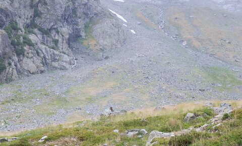 2015-07-22-23-rando-famille-refuge-bans, alpes-aventure-randonnee-trek-refuge-bans-2015-07-22-23-028