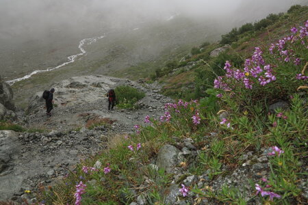 2015-08-01-02-glacier-blanc, alpes-aventure-haute-montagne-alpinisme-glacier-blanc-2015-08-01-09