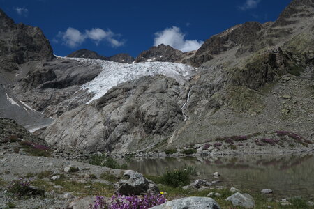 2015-08-01-02-glacier-blanc, alpes-aventure-haute-montagne-alpinisme-glacier-blanc-2015-08-02-083
