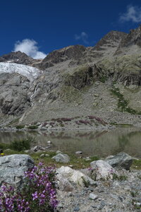 2015-08-01-02-glacier-blanc, alpes-aventure-haute-montagne-alpinisme-glacier-blanc-2015-08-02-089