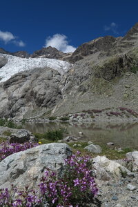 2015-08-01-02-glacier-blanc, alpes-aventure-haute-montagne-alpinisme-glacier-blanc-2015-08-02-090