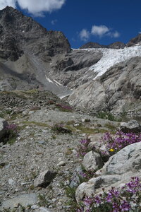 2015-08-01-02-glacier-blanc, alpes-aventure-haute-montagne-alpinisme-glacier-blanc-2015-08-02-092