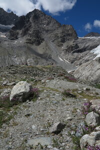 2015-08-01-02-glacier-blanc, alpes-aventure-haute-montagne-alpinisme-glacier-blanc-2015-08-02-093