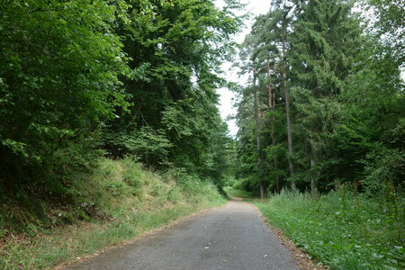 balade dans les vosges 2015, DSC03341