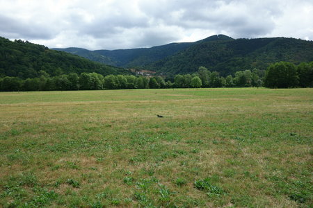 balade dans les vosges 2015, DSC03348