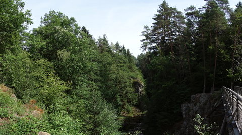balade dans les vosges 2015, DSC03374