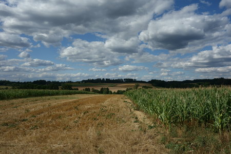 balade dans les vosges 2015, DSC03435