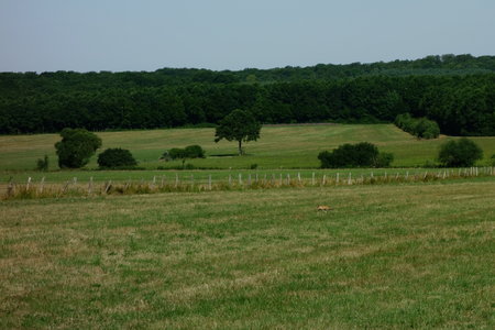 balade dans les vosges 2015, DSC03450b