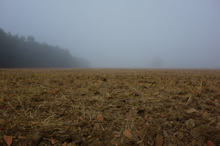 balade dans les vosges 2015, DSC03524