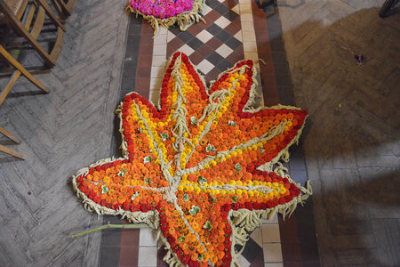 décors 2014, _DSC5986