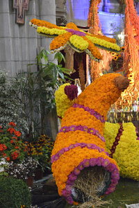 décors 2014, _DSC6043