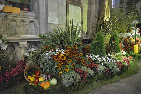 décors 2014, _DSC6342