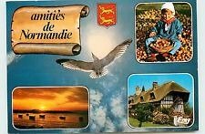 Cartes Postales avec les Léopards normands, K800_Carte Postale  - divers -amitiés