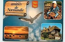 Cartes Postales avec les Léopards normands, K800_Carte Postale  - divers -amitiés2