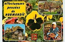 Cartes Postales avec les Léopards normands, K800_Carte Postale  - divers -pensées