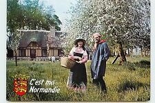 Cartes Postales avec les Léopards normands, K800_Carte Postale  - divers -pittoresque6