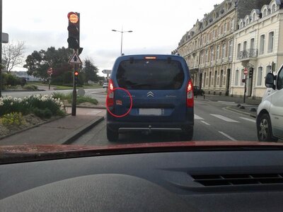 Histoire__les-léopards-normands--angevins--anglais , K800_décoration Voiture     2014-04-14