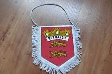 Histoire__les-léopards-normands--angevins--anglais , K800_faniion Nie   autre