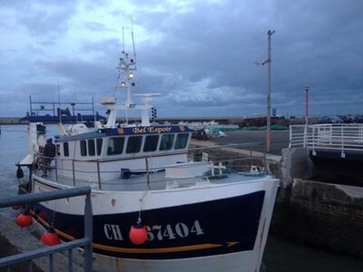 Histoire__les-léopards-normands--angevins--anglais , K800_Port en Bessin