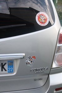 Histoire__les-léopards-normands--angevins--anglais , K800_Vache BB léopard
