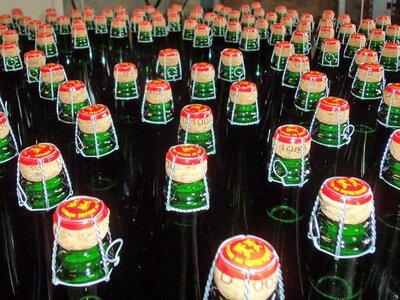 Les Léopards normands comme illustrations, K800_Bouchons cidre leopards