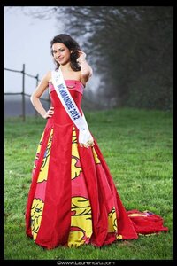 Les Léopards normands comme illustrations, K800_robe miss normandie 2014