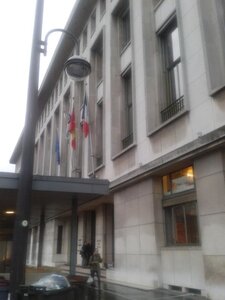 Drapeaux Normands aux 2 Léopards, K800_2014-11-17 16.56.50