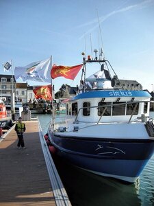 Drapeaux Normands aux 2 Léopards, K800_Bertrand sciboz2