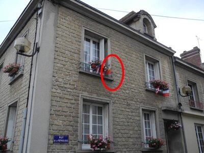 Drapeaux Normands aux 2 Léopards, K800_DSCN5882