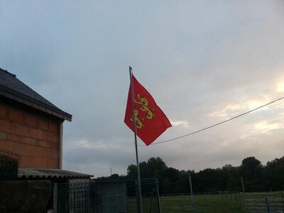 Drapeaux Normands aux 2 Léopards, K800_fete des Normands - Bretagne FB Epissetout chris