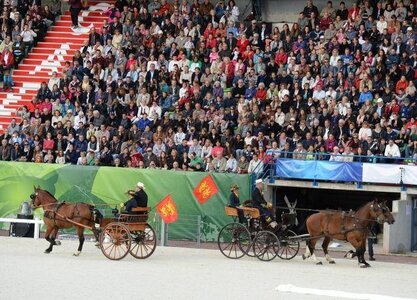 Drapeaux Normands aux 2 Léopards, K800_JEM ouverture  leopards