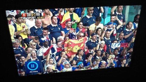 Drapeaux Normands aux 2 Léopards, K800_TV France-Suisse CdM Bresil 2014 -Cats Normands