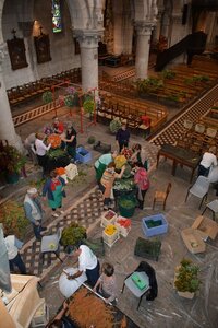 24 août 2015, DSC_8389