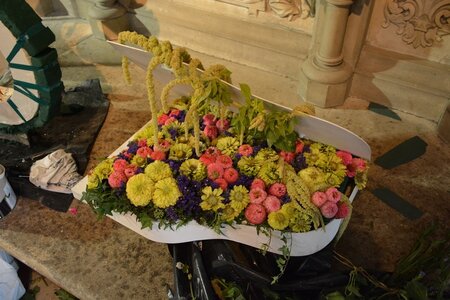 25 août 2015, DSC_8599