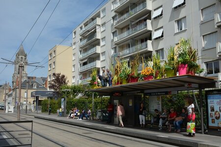 26 août 2015, DSC_8859