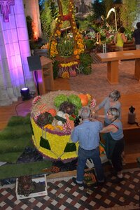 26 août 2015, DSC_8899