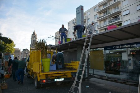 26 août 2015, DSC_8691